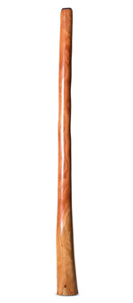 Natural Finish Flared Didgeridoo (TW1808)